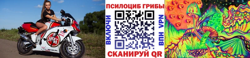 Галлюциногенные грибы Psilocybine cubensis Лебедянь
